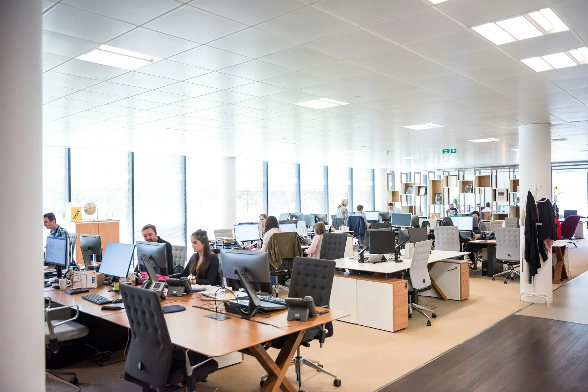 Bright open office floor with rows of desks